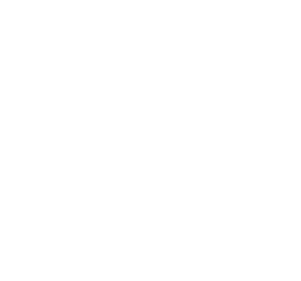 礼跃纪